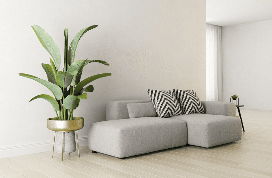 styling with greenery: bringing life to minimal spaces